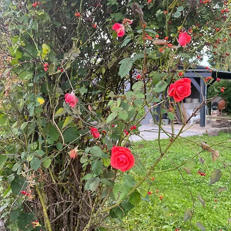 Le Chant De La Riviere Holiday home Abbeville